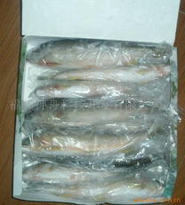 福州神舟科技開發 專注高品質干制水產品，呈現海洋饋贈