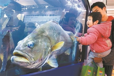 200余種水產品亮相中國水產種業博覽會，展現產業創新與可持續發展新圖景